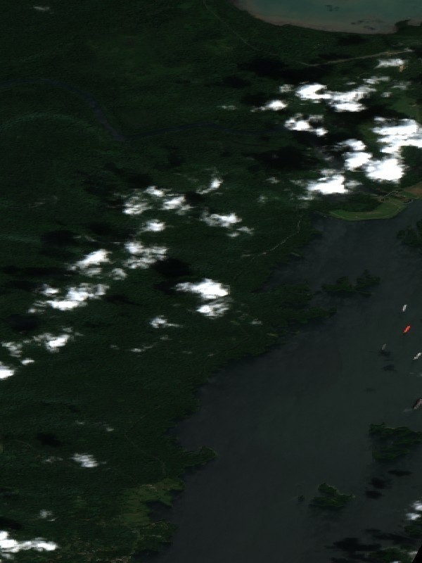 Gatun Lake northern arm fully flooded, Sentinel-2 image