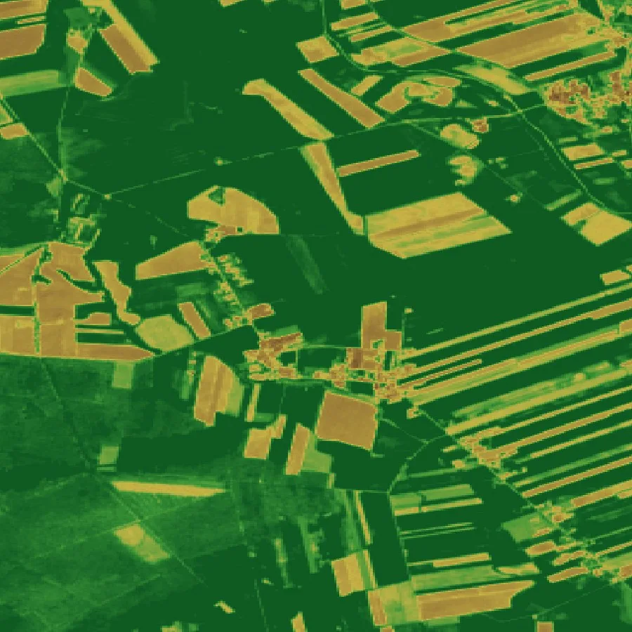Processed vegetation vigor layer