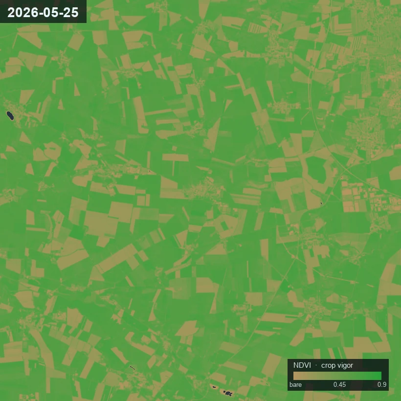 Prawdziwa mapa NDVI kondycji upraw nad gruntami rolnymi — zielone działki oznaczają silniejszy okap roślin, brąz oznacza gołą lub słabą uprawę — z legendą skali