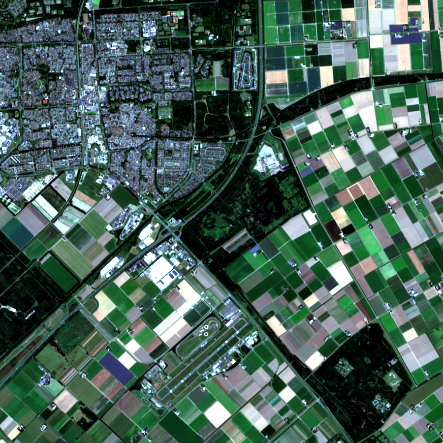 The same Flevoland parcels in true colour — the scene the spectral view then reveals